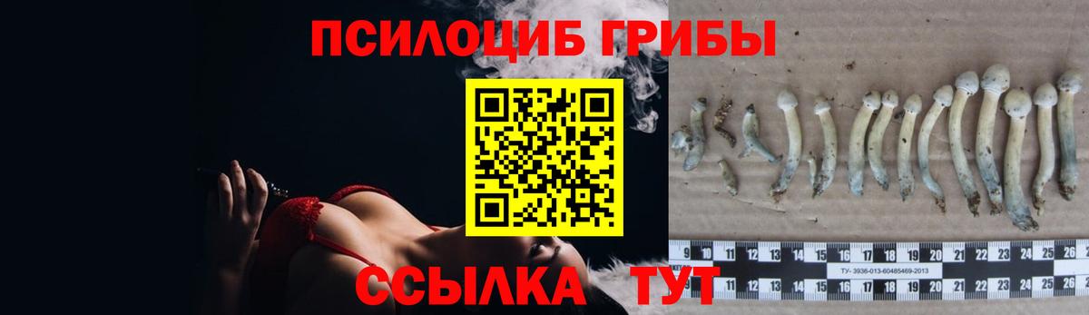 Галлюциногенные грибы MAGIC MUSHROOMS  Галлюциногенные грибы ЛСД  Вход с VPN  Ессентуки 